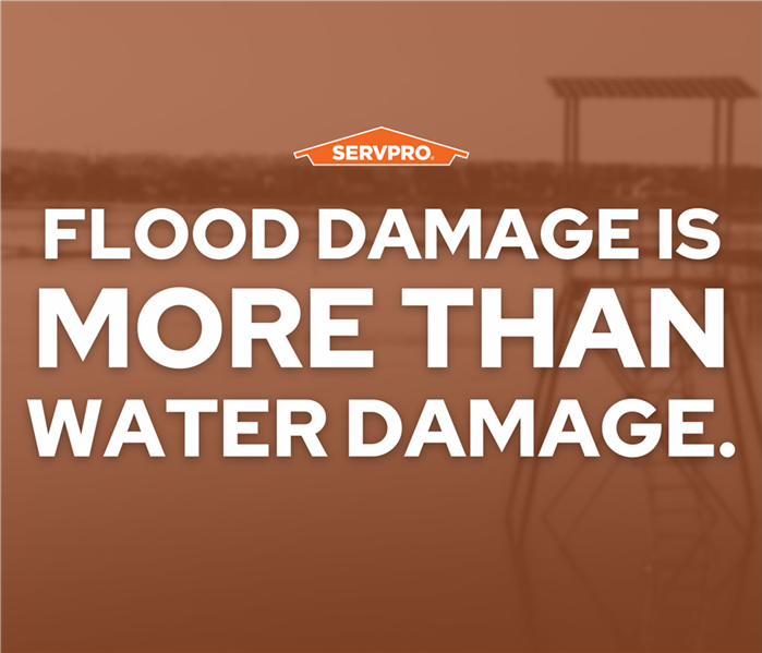 white text on an orange background covering a blurry picture of water, SERVPRO logo, text says Flood damage is more than wate