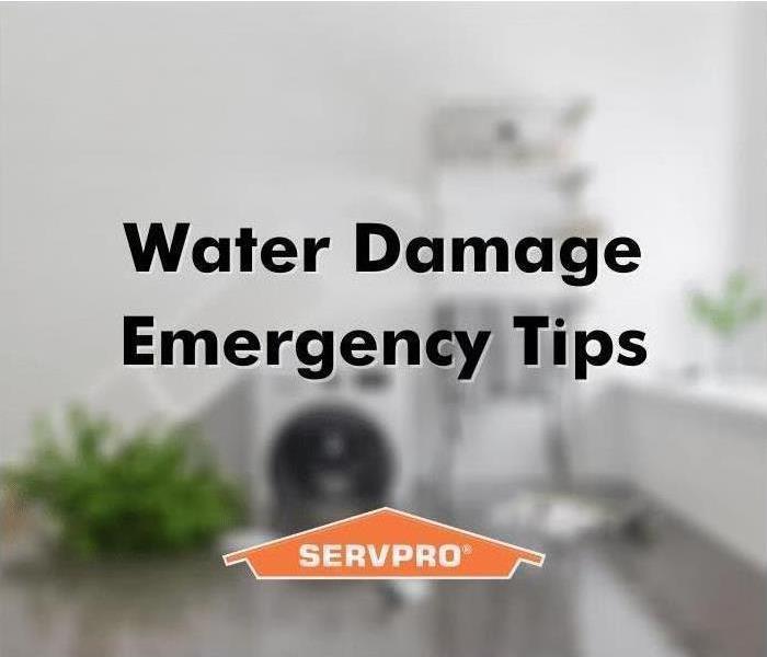 Follow these tips to prevent water damage in your Texas property.
